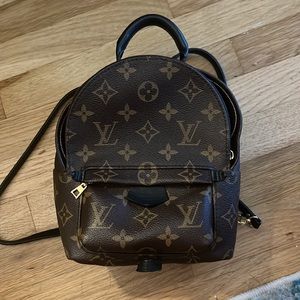Louis Vuitton Palm Springs Mini